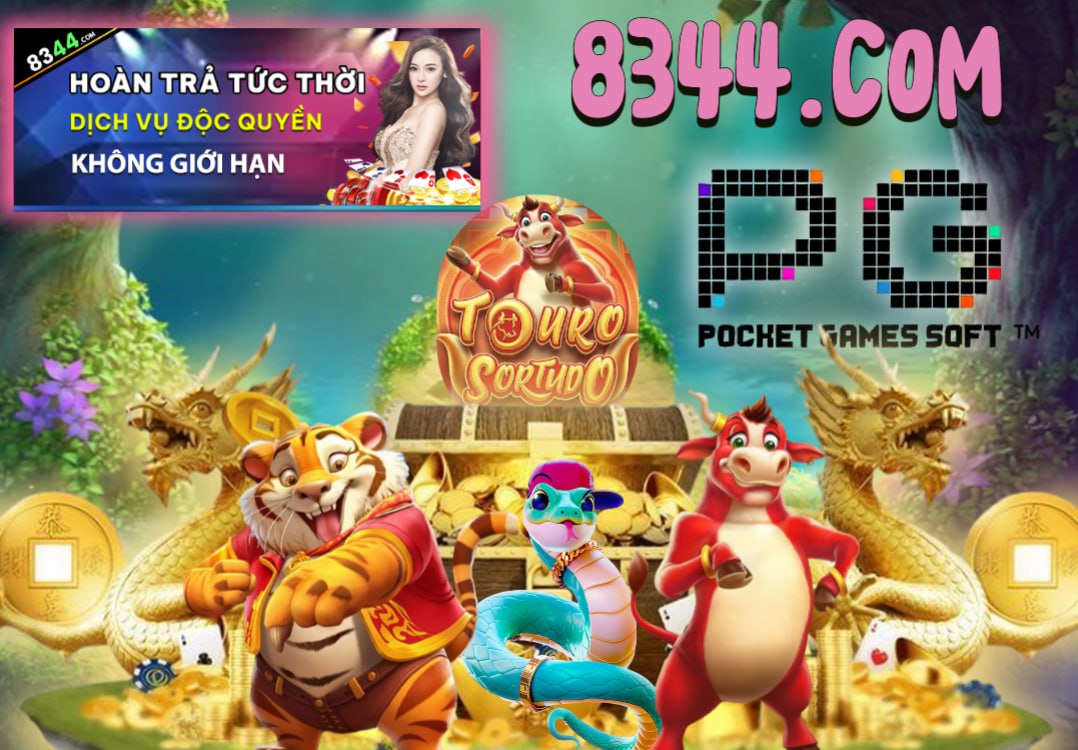 Hình ảnh quảng cáo của xoilac hiển thị nền tảng và các lợi ích